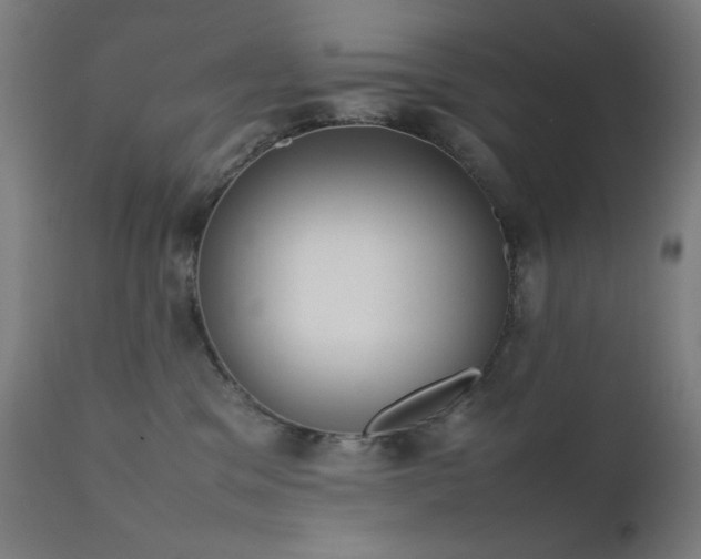 X0000111650329200907171551
