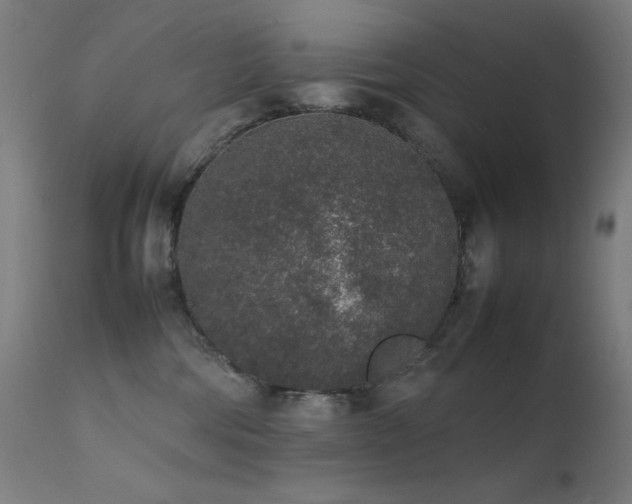 X0000111650330200907171551