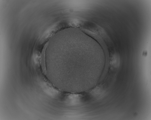 X0000111650332200907171551