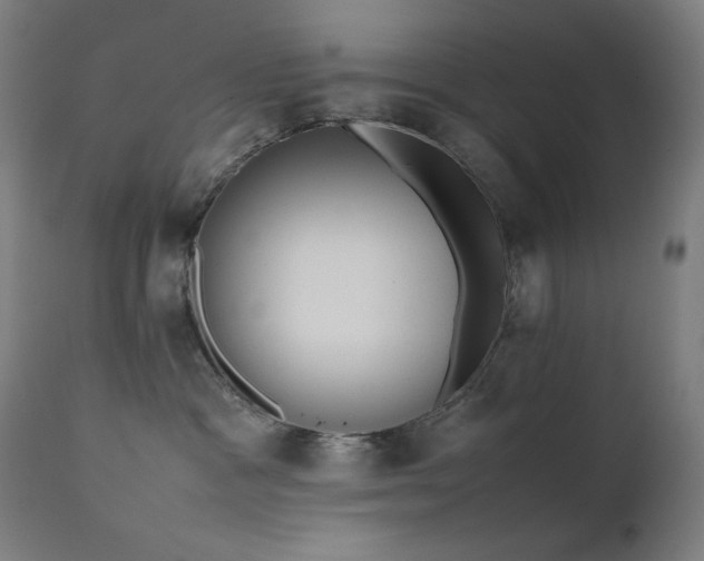 X0000111650333200907171551