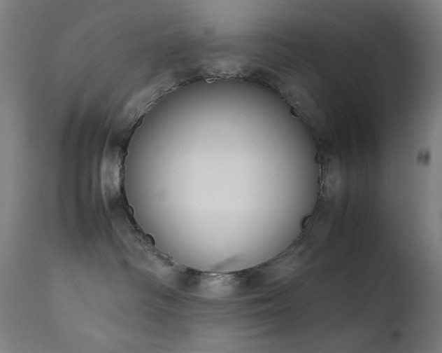 X0000111650334200907171551