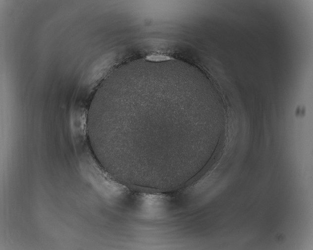 X0000111650336200907171551