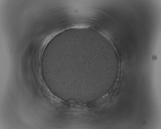 X0000111650337200907171550