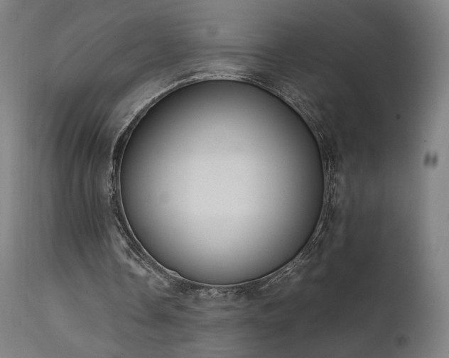 X0000111650338200907171550