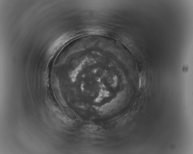 X0000111650339200907171550