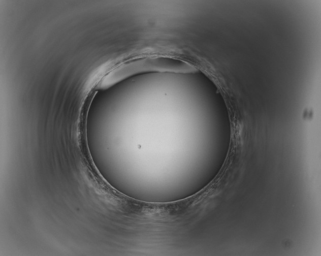 X0000111650340200907171550