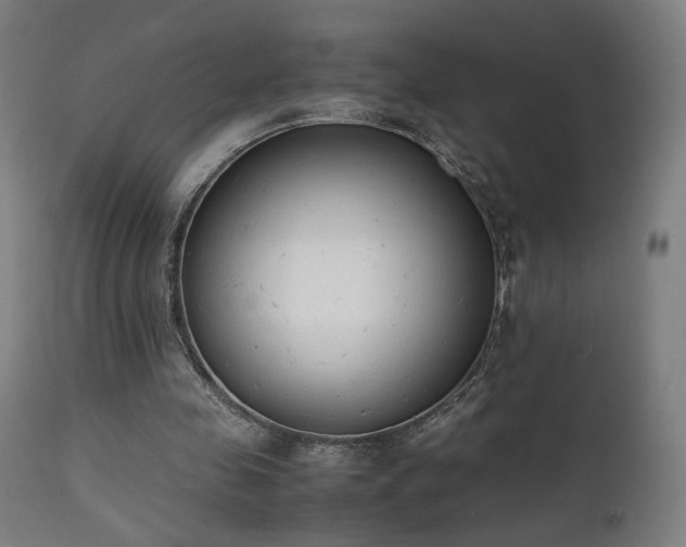 X0000111650341200907171550
