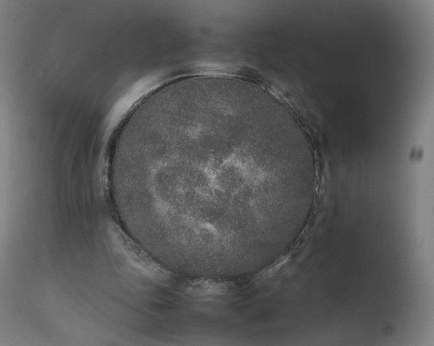 X0000111650343200907171550