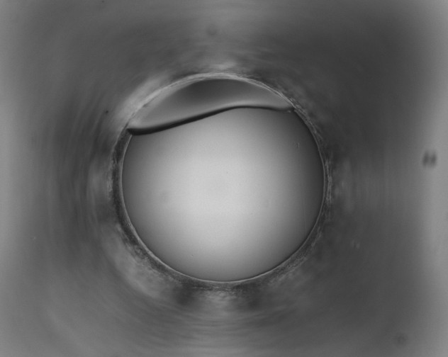 X0000111650344200907171550
