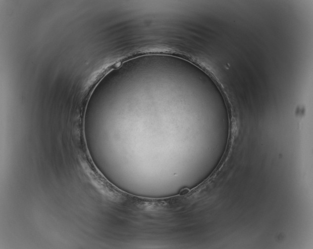 X0000111650345200907171550