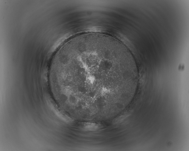 X0000111650347200907171551