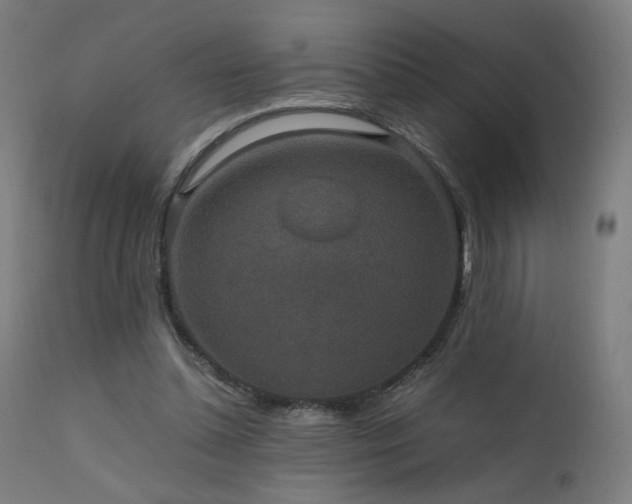 X0000111650348200907171551