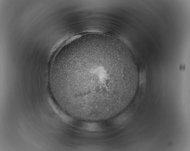 X0000111650349200907171551