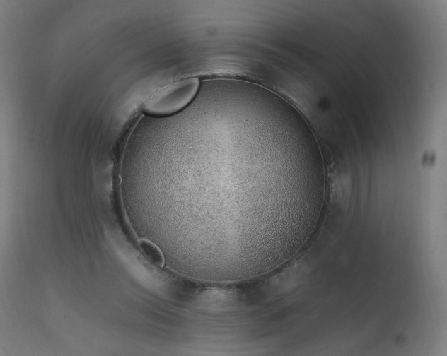 X0000111650350200907171551