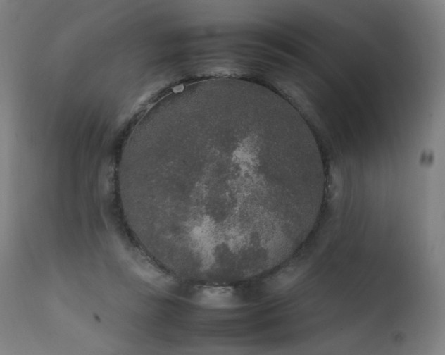 X0000111650355200907171551