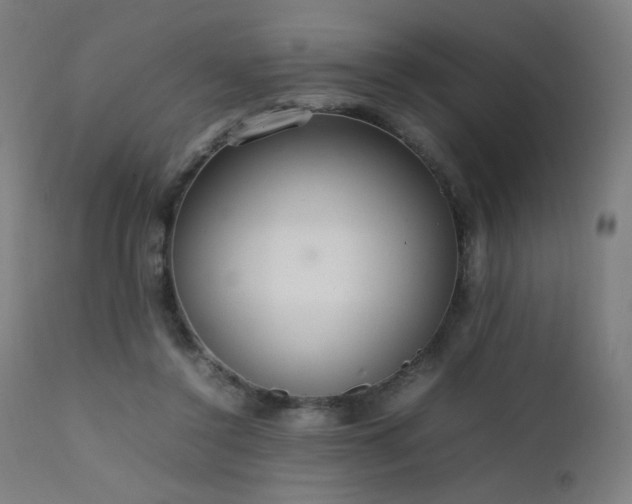 X0000111650356200907171551