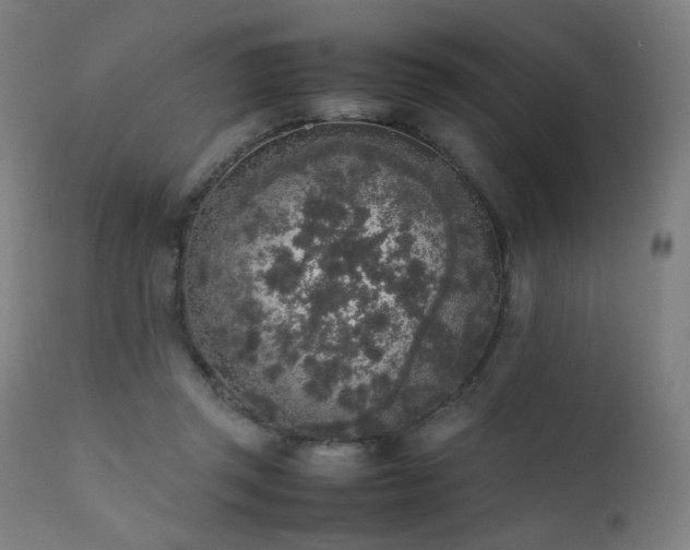 X0000111650357200907171551