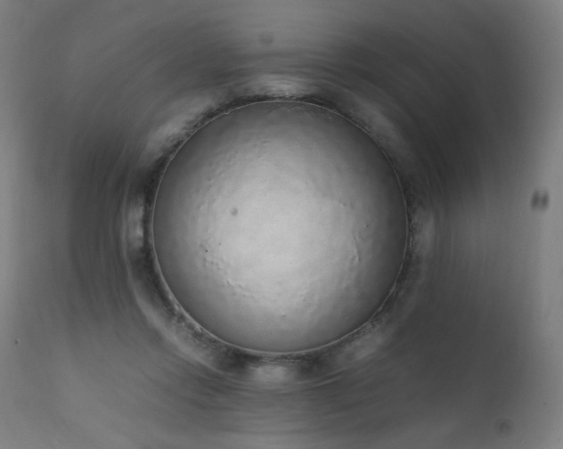 X0000111650358200907171551