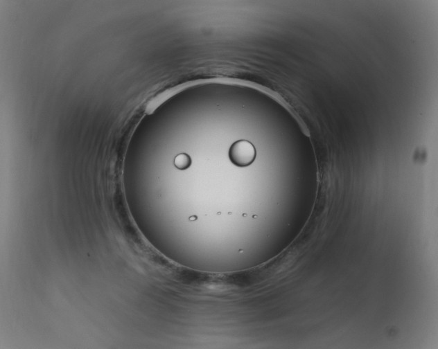 X0000111650360200907171551