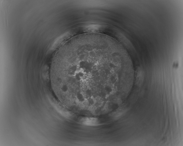 X0000111650361200907171551