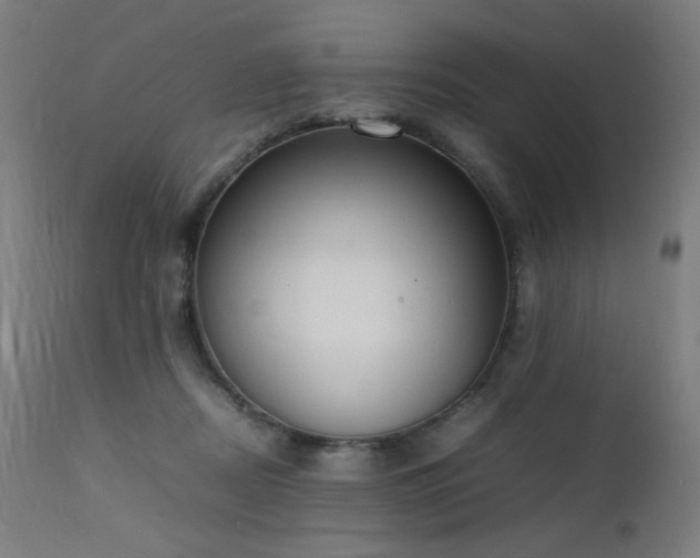 X0000111650362200907171551