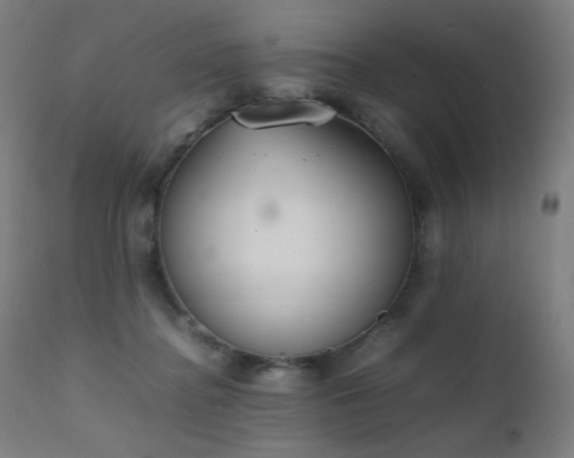 X0000111650364200907171551