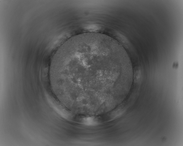 X0000111650365200907171551