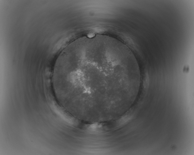 X0000111650366200907171551