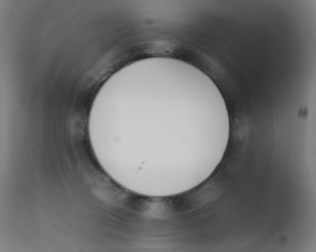 X0000111650370200907171551