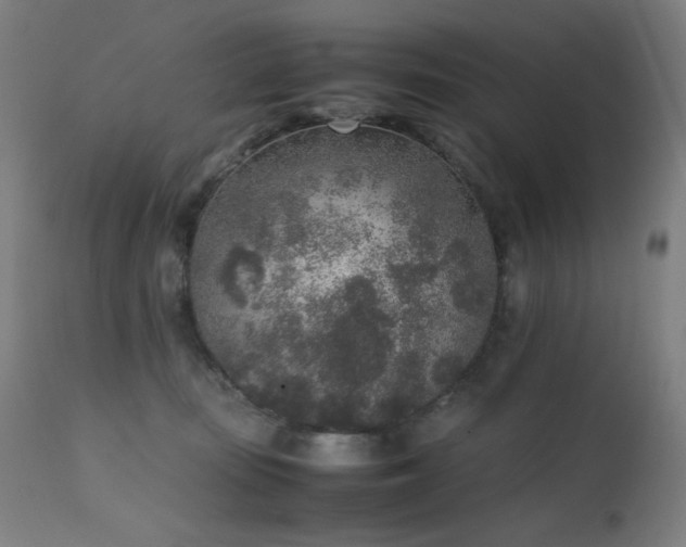 X0000111650371200907171551