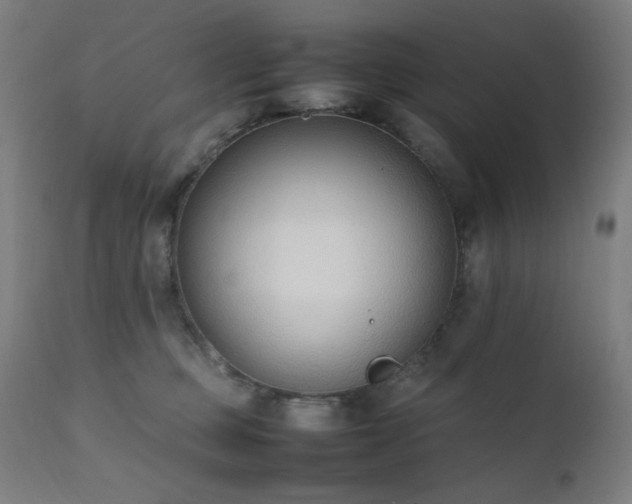 X0000111650373200907171551