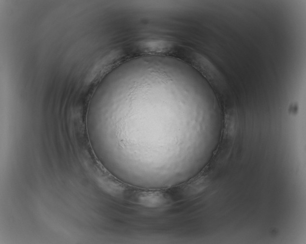 X0000111650377200907171551
