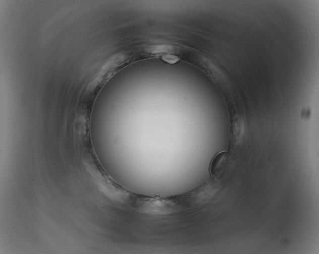 X0000111650379200907171551