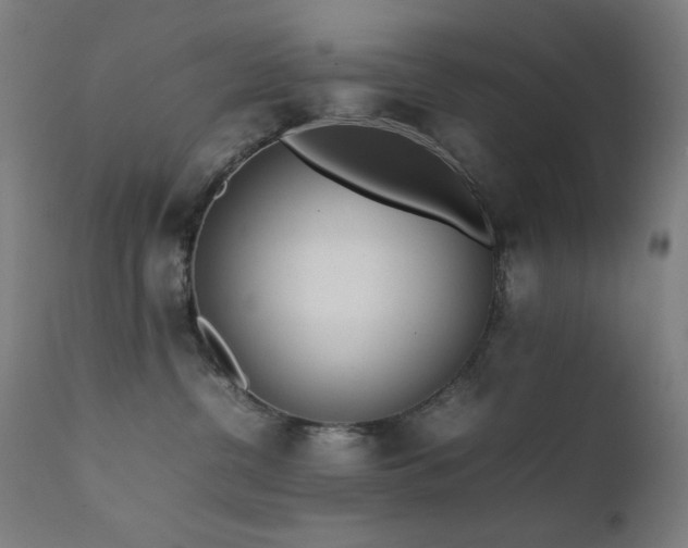 X0000111650380200907171551