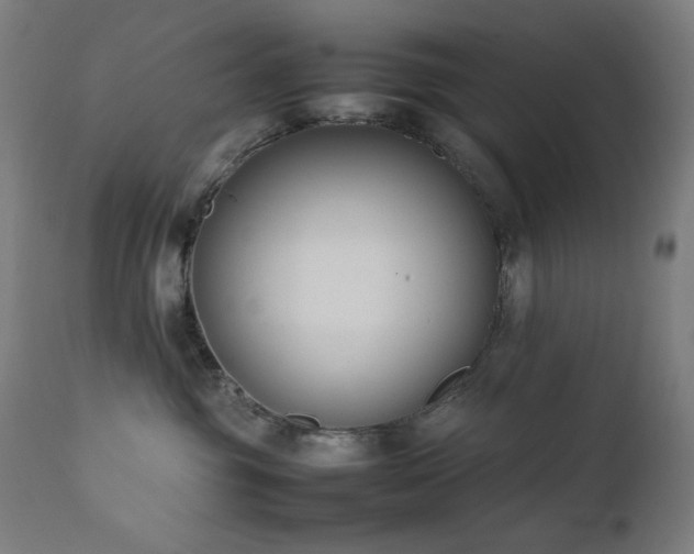 X0000111650381200907171551