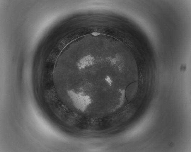 X0000111650383200907171551