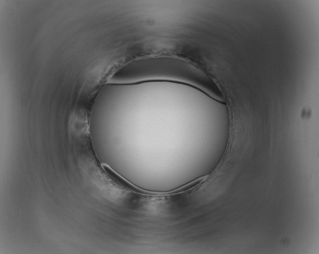 X0000111650384200907171551