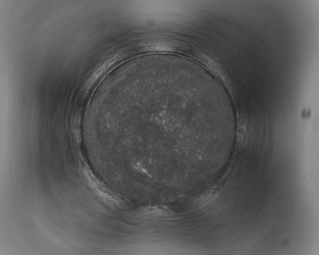 X0000111650386200907171550