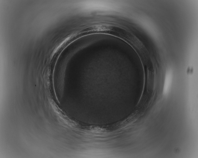 X0000111650387200907171550