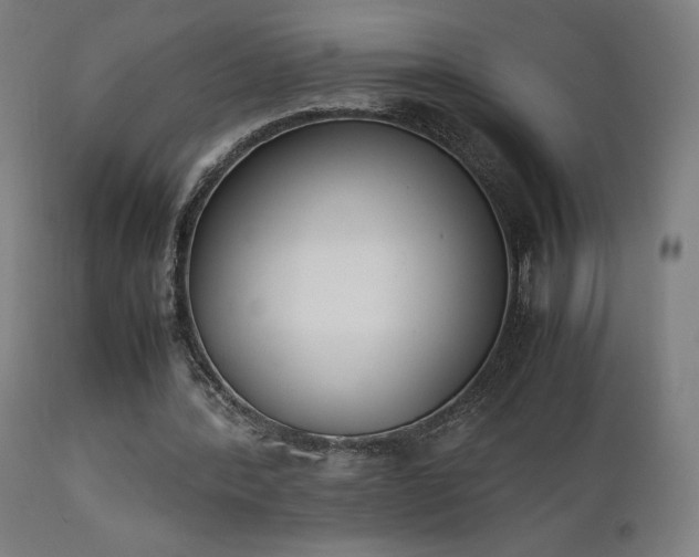 X0000111650388200907171550