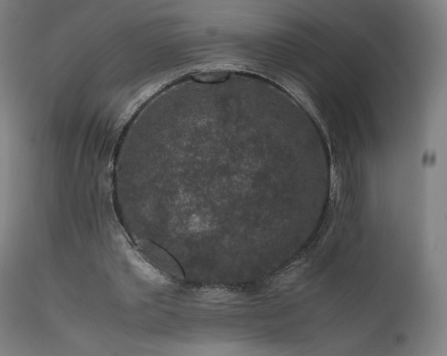 X0000111650389200907171550