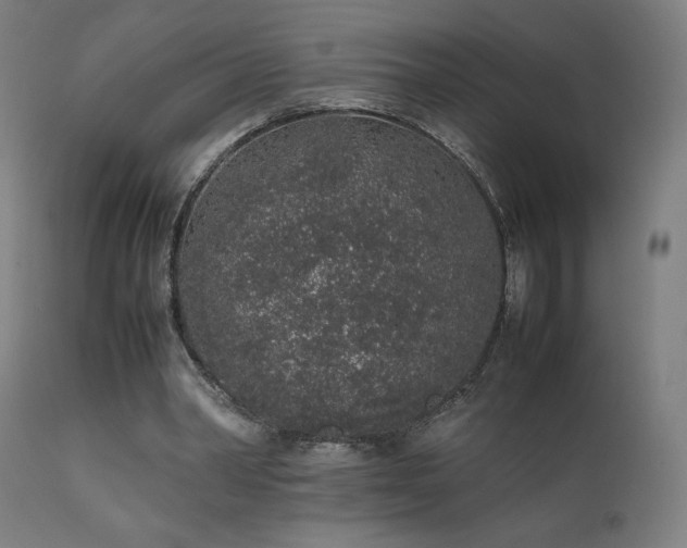 X0000111650390200907171550