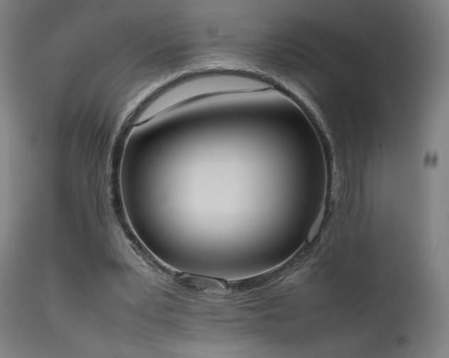 X0000111650391200907171550