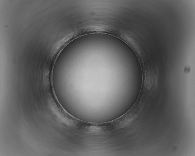 X0000111650394200907171550