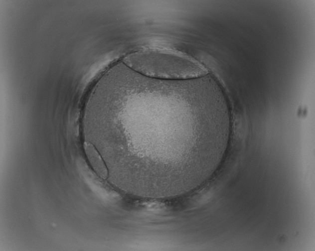 X0000111650395200907171550