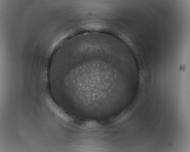 X0000111650399200907171550