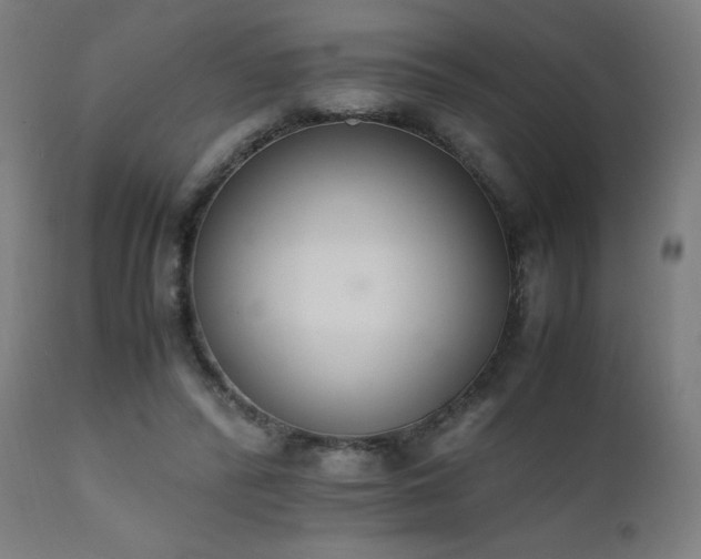 X0000111650400200907171550