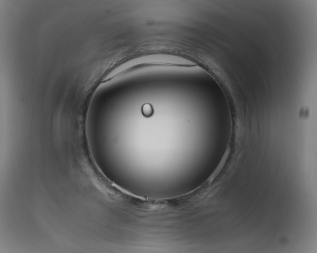 X0000111650401200907171550