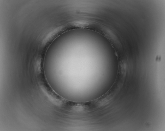 X0000111650404200907171550