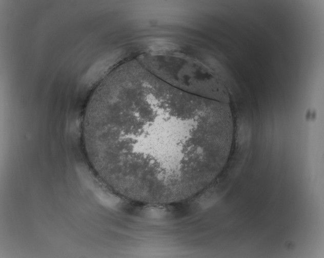 X0000111650405200907171550